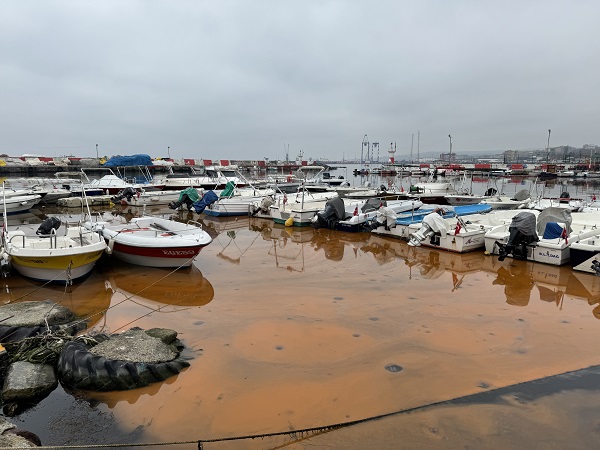 Foto - Tekirdağ’da denizin rengi değişti! İşte sebebi