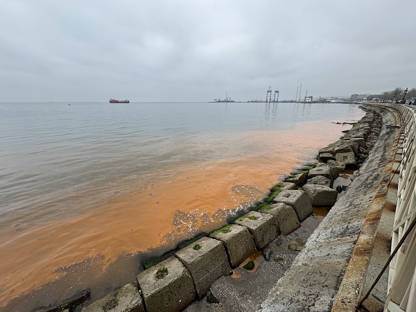 Foto - Tekirdağ’da denizin rengi değişti! İşte sebebi