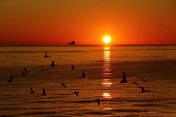 Foto - Tekirdağ'da mest eden gün doğumu