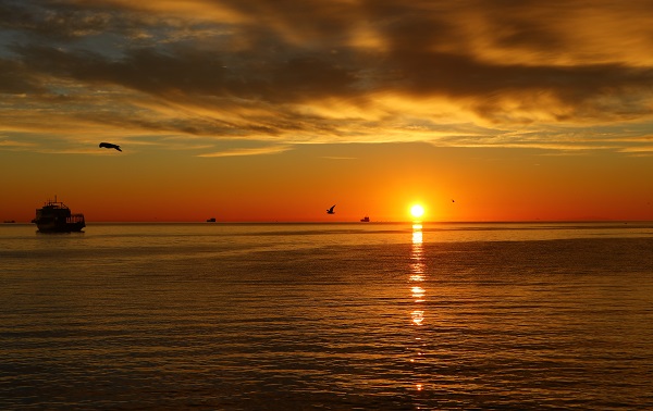 Foto - Tekirdağ'da mest eden gün doğumu