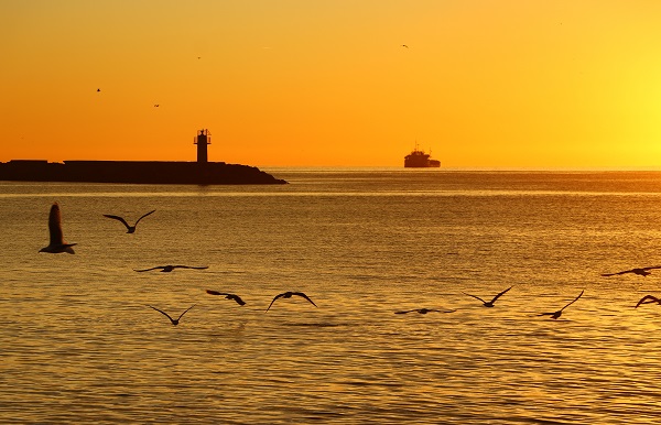 Foto - Tekirdağ'da mest eden gün doğumu