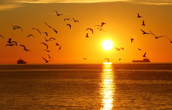 Tekirdağ'da mest eden gün doğumu