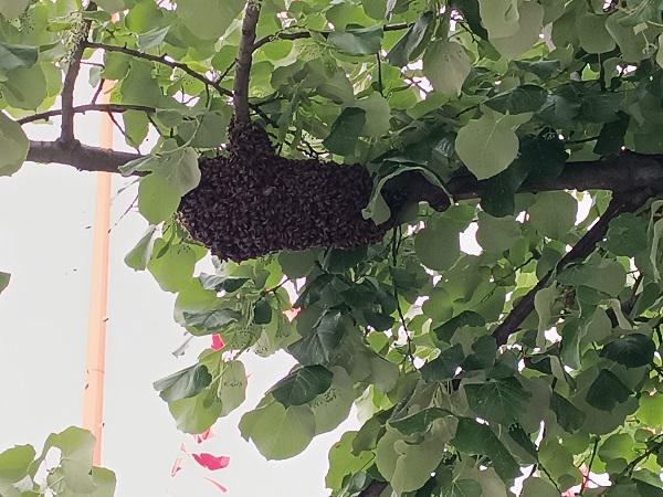 Foto - Tekirdağ'da panik! Bakın korkunun sebebi ne? 