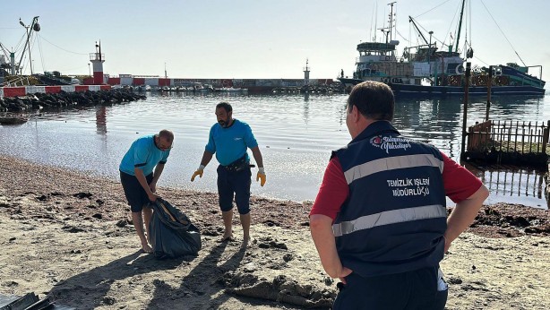 Foto - Tekirdağ'da sahil yosunla kaplandı