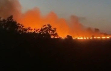 Foto - Tekirdağ'da tır ve anız yangını