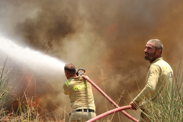 Foto - Tekirdağ’da yangın! Havadan ve karadan müdahale ediliyor