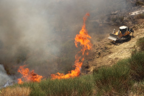 Foto - Tekirdağ’da yangın! Havadan ve karadan müdahale ediliyor