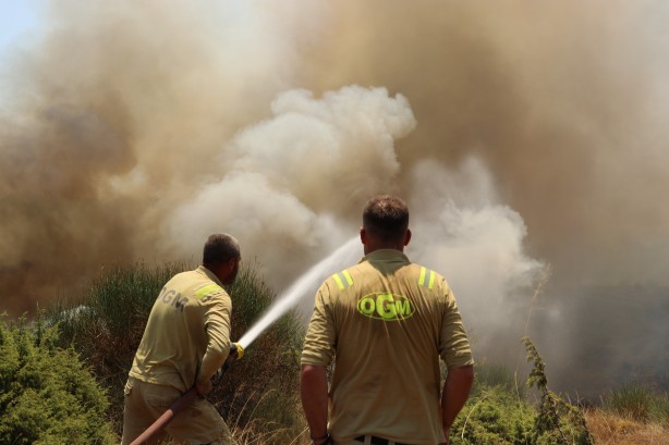 Foto - Tekirdağ’da yangın! Havadan ve karadan müdahale ediliyor