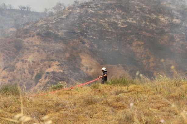 Foto - Tekirdağ’da yangın! Havadan ve karadan müdahale ediliyor