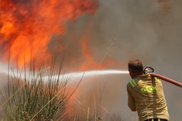 Foto - Tekirdağ’da yangın! Havadan ve karadan müdahale ediliyor
