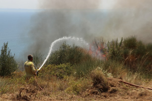Foto - Tekirdağ’da yangın! Havadan ve karadan müdahale ediliyor