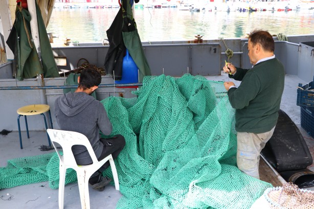 Tekirdağlı balıkçıların ağ mesaisi başladı