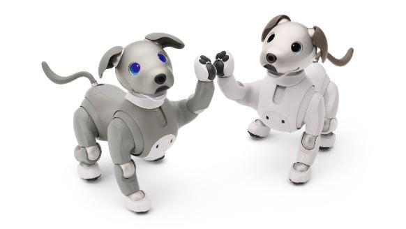 Foto - Teknoloji devi yaşlanan robotlara bakacak kişiler arıyor