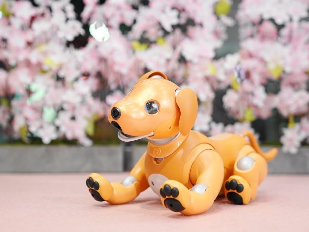 Foto - Teknoloji devi yaşlanan robotlara bakacak kişiler arıyor