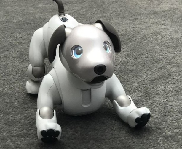 Teknoloji devi yaşlanan robotlara bakacak kişiler arıyor