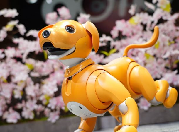 Foto - Teknoloji devi yaşlanan robotlara bakacak kişiler arıyor