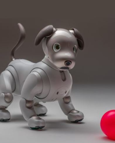 Foto - Teknoloji devi yaşlanan robotlara bakacak kişiler arıyor