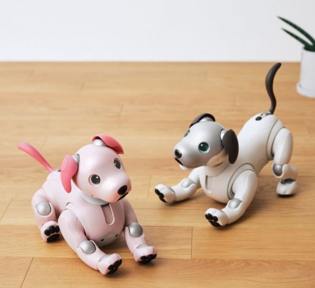 Foto - Teknoloji devi yaşlanan robotlara bakacak kişiler arıyor