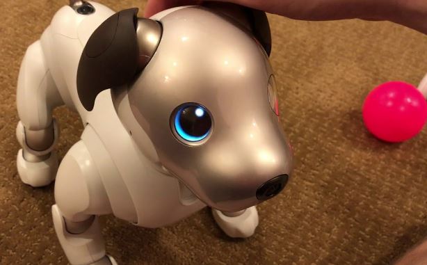 Foto - Teknoloji devi yaşlanan robotlara bakacak kişiler arıyor