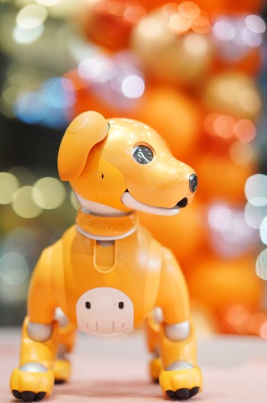 Foto - Teknoloji devi yaşlanan robotlara bakacak kişiler arıyor