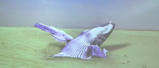 Foto - Teknoloji karşılaşması: İnsan yapay zekâya karşı İstanbul'da yarıştı! Herkesi şok eden çıkış! Önemli ayrıntı