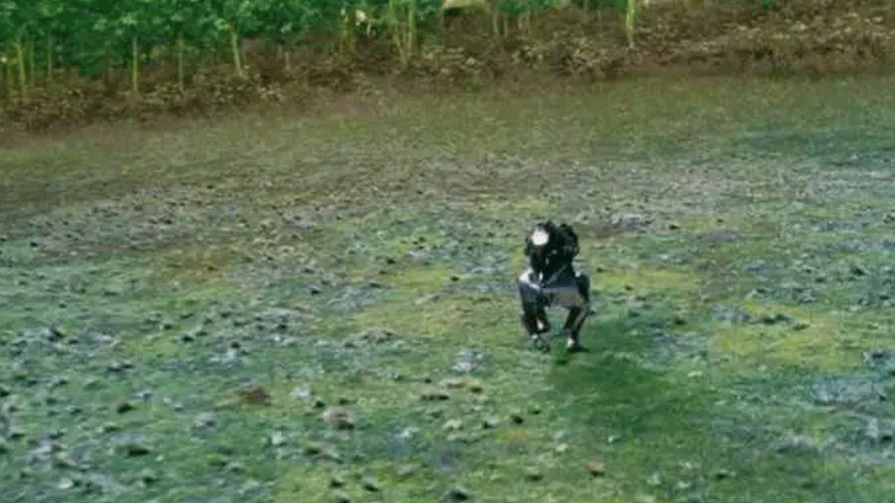 Foto - Teknolojinin geldiği son nokta: Üstüne binilen robot yaptılar!