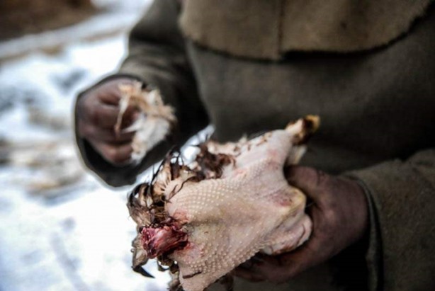 Foto - Teknolojisiz bir hayat yaşıyor