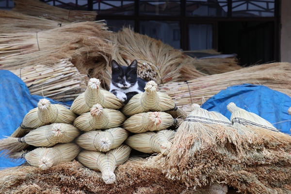 Teknolojiye yenilmek istemiyorlar! Fiyatları çok uygun ama meslek can çekişiyor