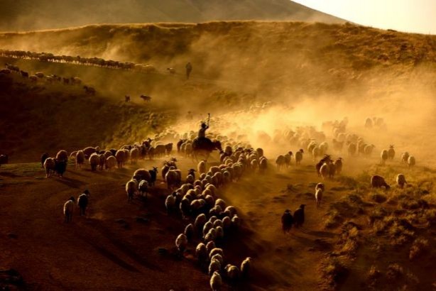 Foto - Teksas değil 'Bitlis'