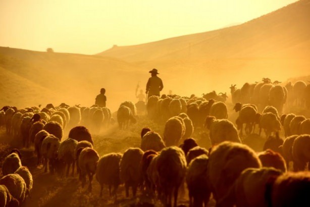 Foto - Teksas değil 'Bitlis'