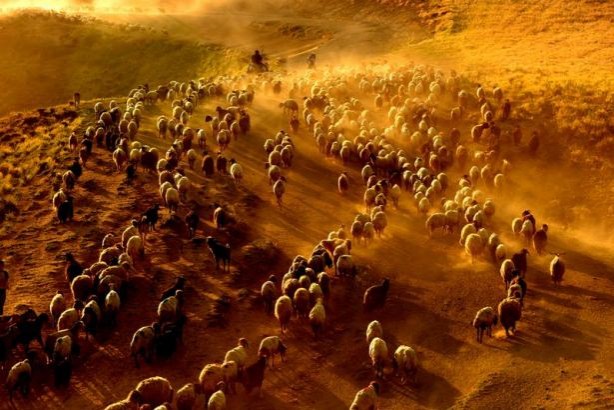 Foto - Teksas değil 'Bitlis'