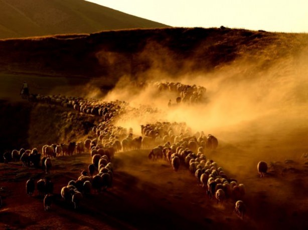 Foto - Teksas değil 'Bitlis'