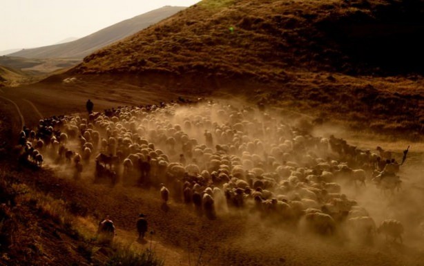 Teksas değil 'Bitlis'
