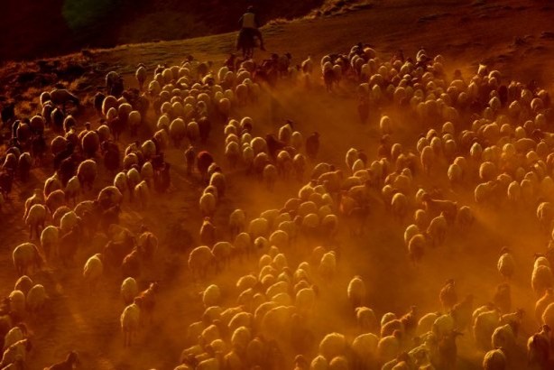 Foto - Teksas değil 'Bitlis'