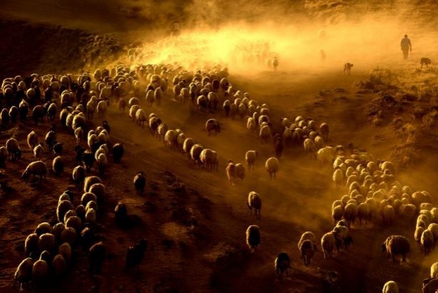 Foto - Teksas değil 'Bitlis'