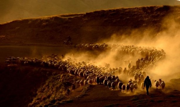 Foto - Teksas değil 'Bitlis'