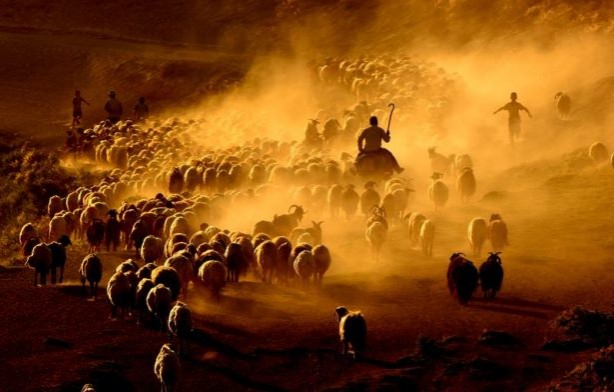 Foto - Teksas değil 'Bitlis'