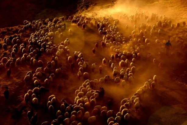 Foto - Teksas değil 'Bitlis'