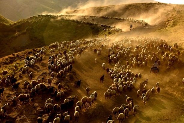 Foto - Teksas değil 'Bitlis'