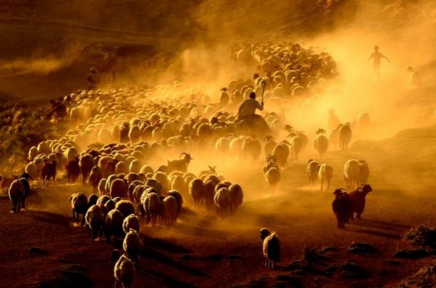 Foto - Teksas değil 'Bitlis'