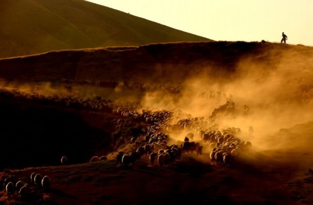 Foto - Teksas değil 'Bitlis'