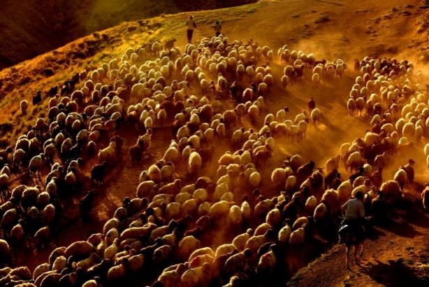 Foto - Teksas değil 'Bitlis'