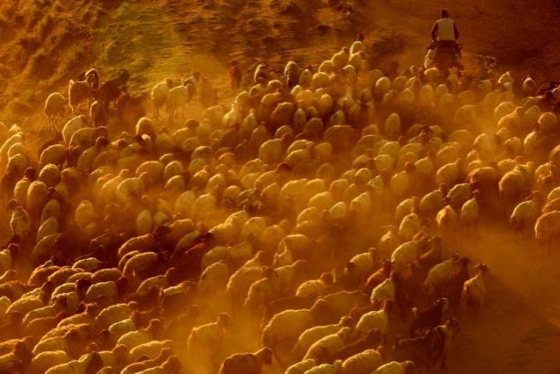 Foto - Teksas değil 'Bitlis'