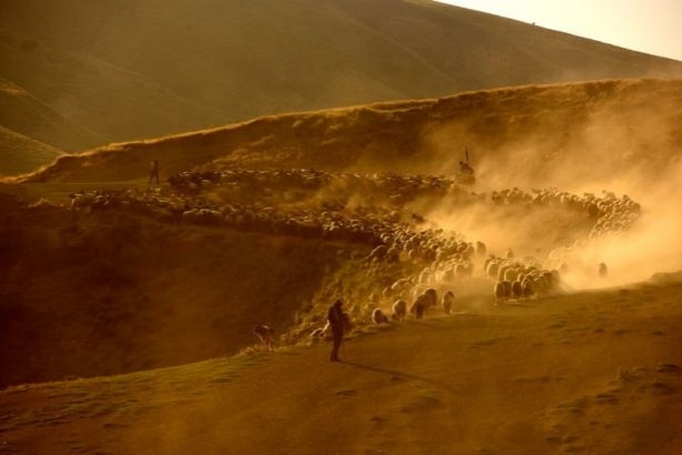Foto - Teksas değil 'Bitlis'