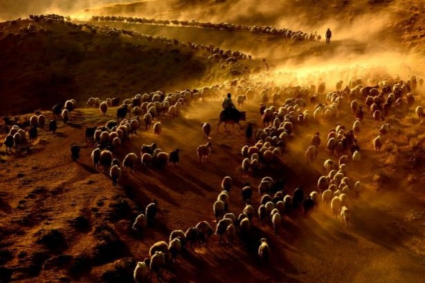 Foto - Teksas değil 'Bitlis'