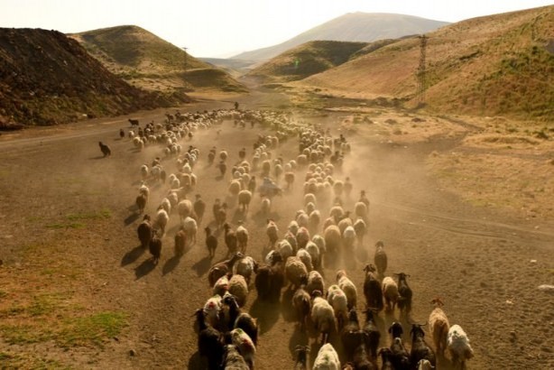 Foto - Teksas değil 'Bitlis'