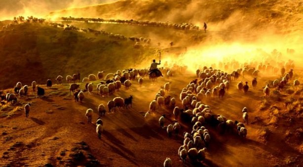 Foto - Teksas değil 'Bitlis'