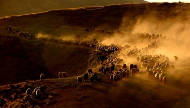 Foto - Teksas değil 'Bitlis'
