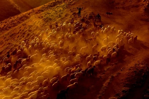 Foto - Teksas değil 'Bitlis'