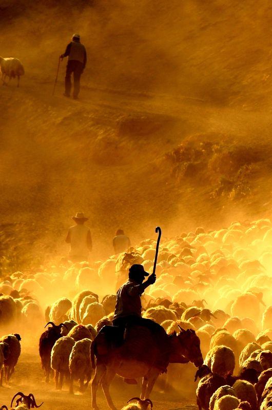 Foto - Teksas değil 'Bitlis'